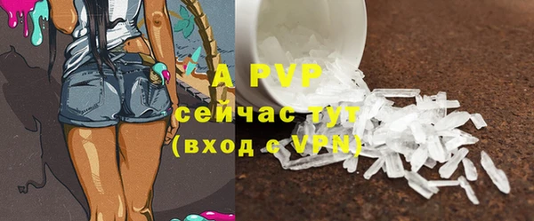 гашик Лабытнанги