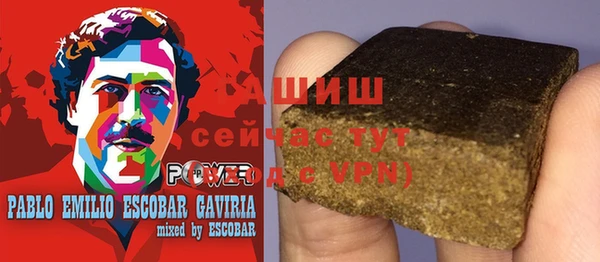 молекула духа Ладушкин