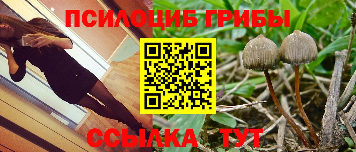 Псилоцибиновые грибы мухоморы  Вход с VPN  Псилоцибиновые грибы мухоморы  Оренбург 